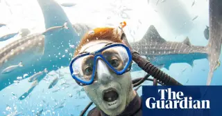 Shark Selfies Put People and Sharks at Risk