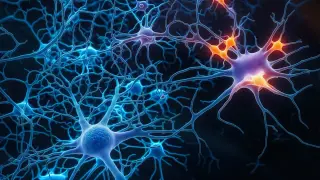 BC200: A Human Brain Gene That Retains Mobility and Infects Viruses