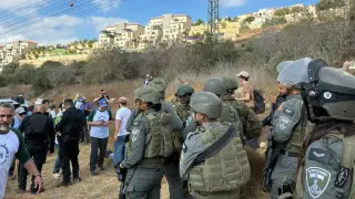 IDF Detains 90 Volunteers in West Bank Olive Harvest, Including US Nominee Brad Lander