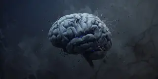 Chronic Alcohol Use Obscures Brain Changes Linked to Childhood Trauma