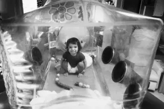 Bubble Boy's Final Days: How a Bone Marrow Transplant Ended David Vetter's Life