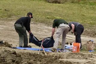 117 Dog Remains Found in California Field as Sheriff Probes Rescue