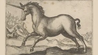 How Medieval Misinterpretations of Fossils Delayed the Acceptance of Extinction