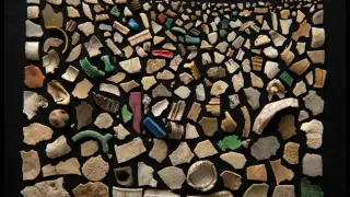 Australian Seabirds Break Plastic-Ingestion Records, Fledgling Carries 894 Pieces