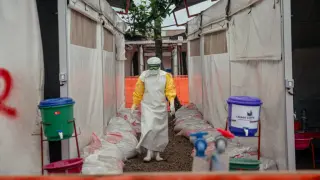 Urgent: Surge Global Response to Stop Ebola at Its Source
