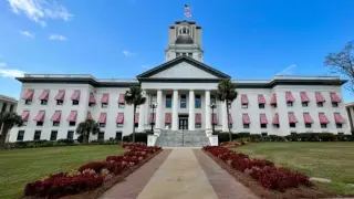 Fresh Ballot Text Aims to Expand Florida Homestead Exemption