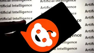 Reddit Q2 Beats Estimates Despite Traffic Worries and Google Ties