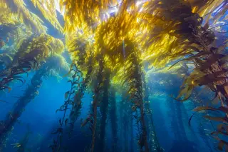 Pacific Ocean: Earth's vast, seismically active engine of climate and life
