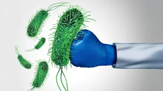 From skincare staple to potential antibiotic: madecassic acid fights drug-resistant bacteria