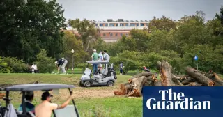 Judge freezes East Potomac tree removal after weekend cuts spark legal backlash