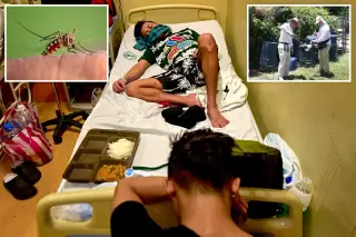 Florida Declares Emergency as Dengue Cases Surge to 190
