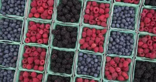 Cyclosporiasis outbreak linked to fresh produce expands to Arizona and beyond