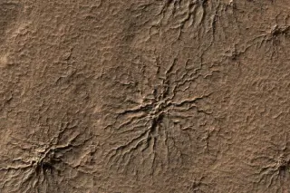 Spiderwebbed Mars rocks hint groundwater lingered longer, fueling life-hunt hopes