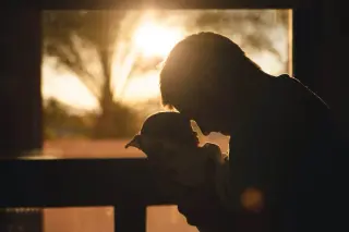 First Six Weeks Trigger Rapid Brain Remodeling in New Fathers