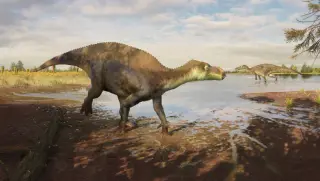 Surrey Quarry Yields New Dinosaur Species Named for Late Manager