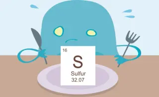 Dietary sulfur amino acids may boost immune attack on colon cancer