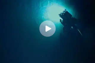 Deep-Sea Researchers Capture Rare Dumbo Octopus Sighting Near Palau