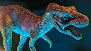 Tiny T. rex Hatchlings Rewrite Dinosaur Parenting Playbook