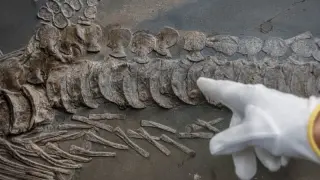 Could Earth Have Hosted a Prehuman Techno-Civilization—and Could We Know?