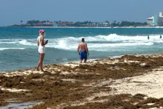 Mexico rolls out comprehensive plan to curb record sargassum bloom