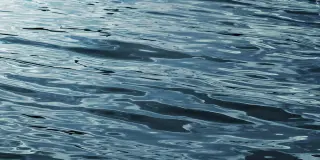Myrtle Beach rescuer found dead after saving girl from rip current