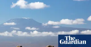 Kenya hunts for toxin link after 15 Amboseli elephant deaths