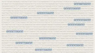 Anthropic’s AI Enzyme Discovery Sparks Debate Over Originality and Scientific Rigor