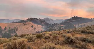 Hawk Fire Near Reno 95% Contained as Nevada Seeks Federal Emergency Aid