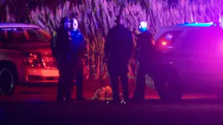 Stabbing at Dixon’s Cool Patch Pumpkins Leaves Two Hospitalized, One Arrested