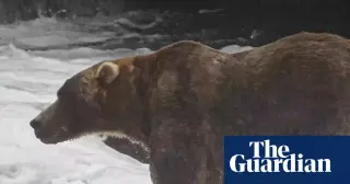 Backpack Claims 2026 Fat Bear Week Crown in Narrow Katmai Vote