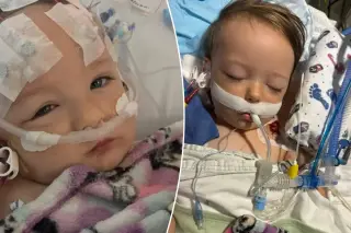 California Regulators Close Case on Unlicensed Dairy After Two Children Survive E. coli Outbreak