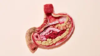 Ghrelin's Antagonist LEAP2 Could Flag Anorexia Relapse, Study Finds