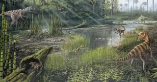 Jurassic Insects Sing in Ultrasonic Tones, New Study Finds
