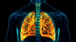 AZ's tozorakimab shows broad COPD benefits ahead of FDA priority review