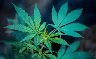 Virginia Legislature Keeps Course on Marijuana Sales, Rebuffs Governor’s Amendments