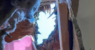 Roof-Crash Meteorite Reveals an Unusual Cosmic Visitor