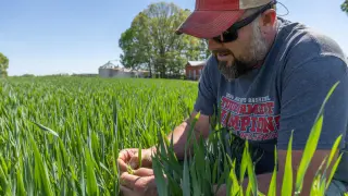 Hormuz Shock Sparks Fertilizer and Fuel Squeeze for U.S. Farmers
