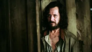Gary Oldman says HBO’s Harry Potter could finally satisfy fans with a faithful adaptation