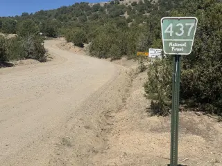 Remains Found Along Rio Chiquito Road Under Investigation Near Taos