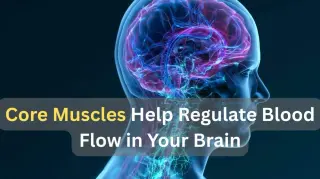 Core Movements Trigger Instant Brain Vein Constriction