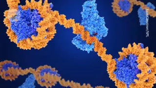 Epigenetic editors tune gene activity without altering the DNA