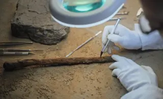 430,000-Year-Old Wood Tools Found in Greece Reframe Early Human Tech Timeline