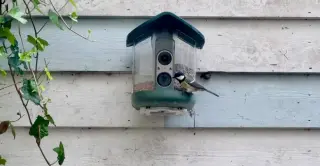 Smart bird feeders offer high-tech birdwatching but struggle with pest control