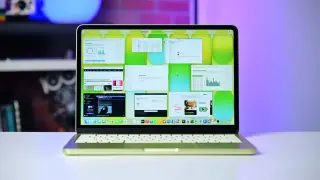 Macs face periodic network freeze due to kernel timer wrap
