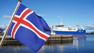 Iceland’s EU referendum tests security, fisheries and the path to membership
