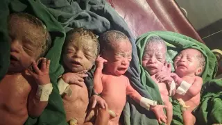 Ethiopia's rare quintuplets: joy after 12-year wait for mother