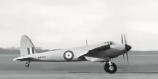 The Fence that Jumpstarted the Mosquito's Flight