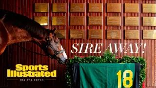Into Mischief Sparks a Derby Dynasty at Spendthrift Farm