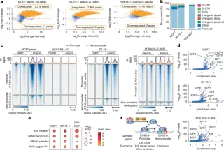 CDK4/6-Activated Rb Rewires Estrogen Signaling in Breast Cancer