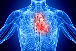 NIH Trial Analysis Links Lipoprotein(a) to Increased Stroke and Death Risk